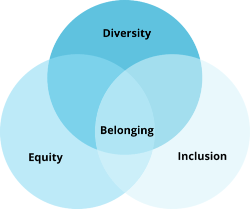 deib belonging inclusion equity measuring